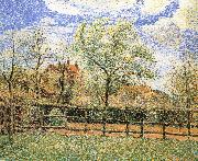 Pear trees bloom in the morning Camille Pissarro